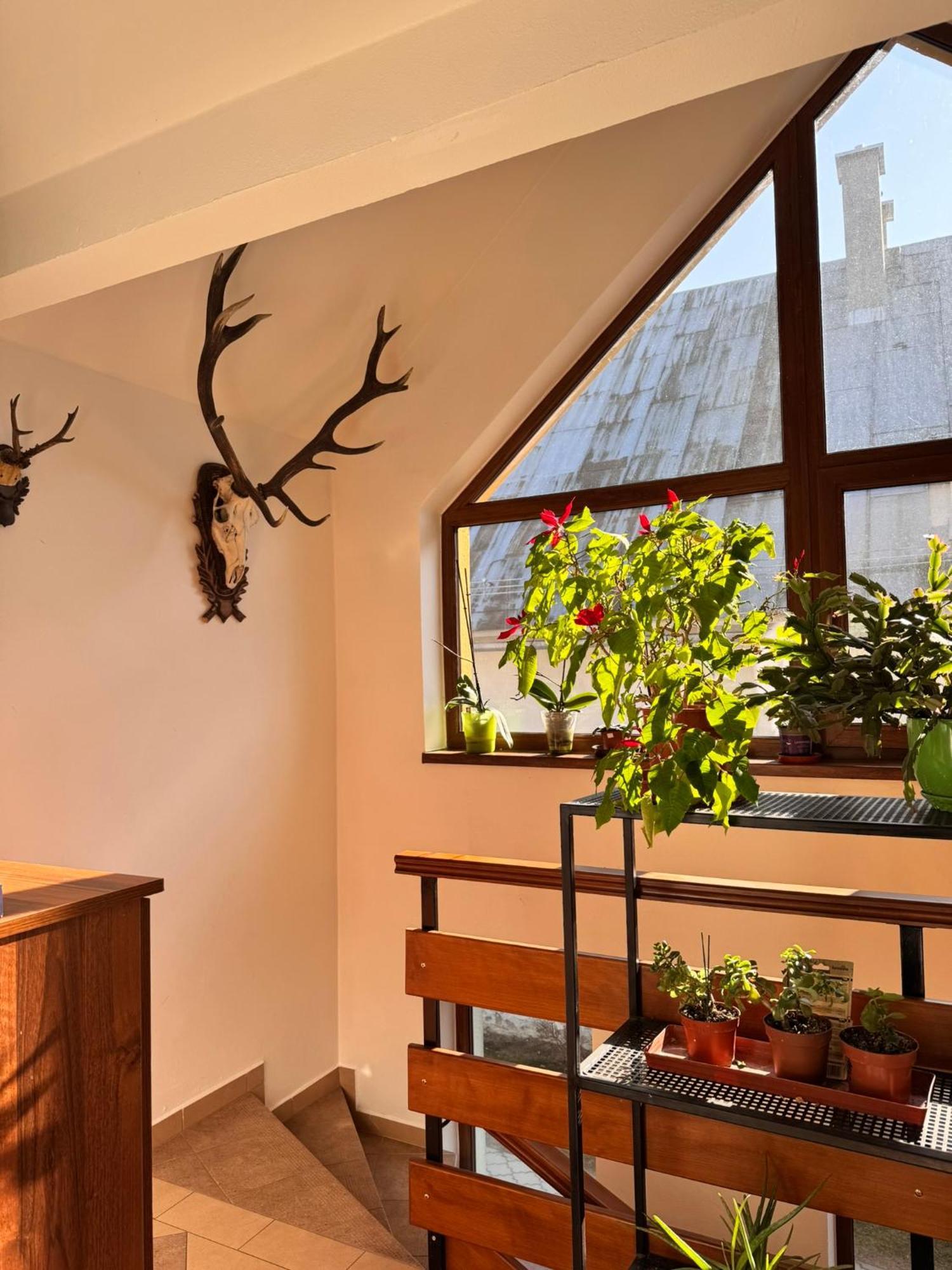Apartmany Kenka 斯皮什旧村 外观 照片