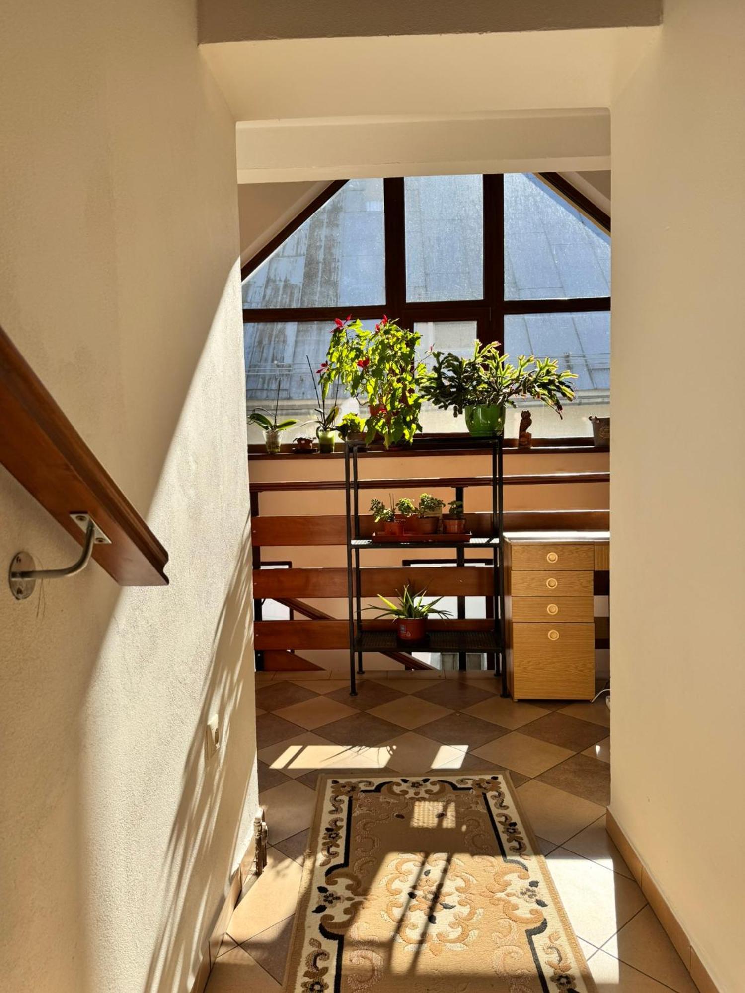 Apartmany Kenka 斯皮什旧村 外观 照片