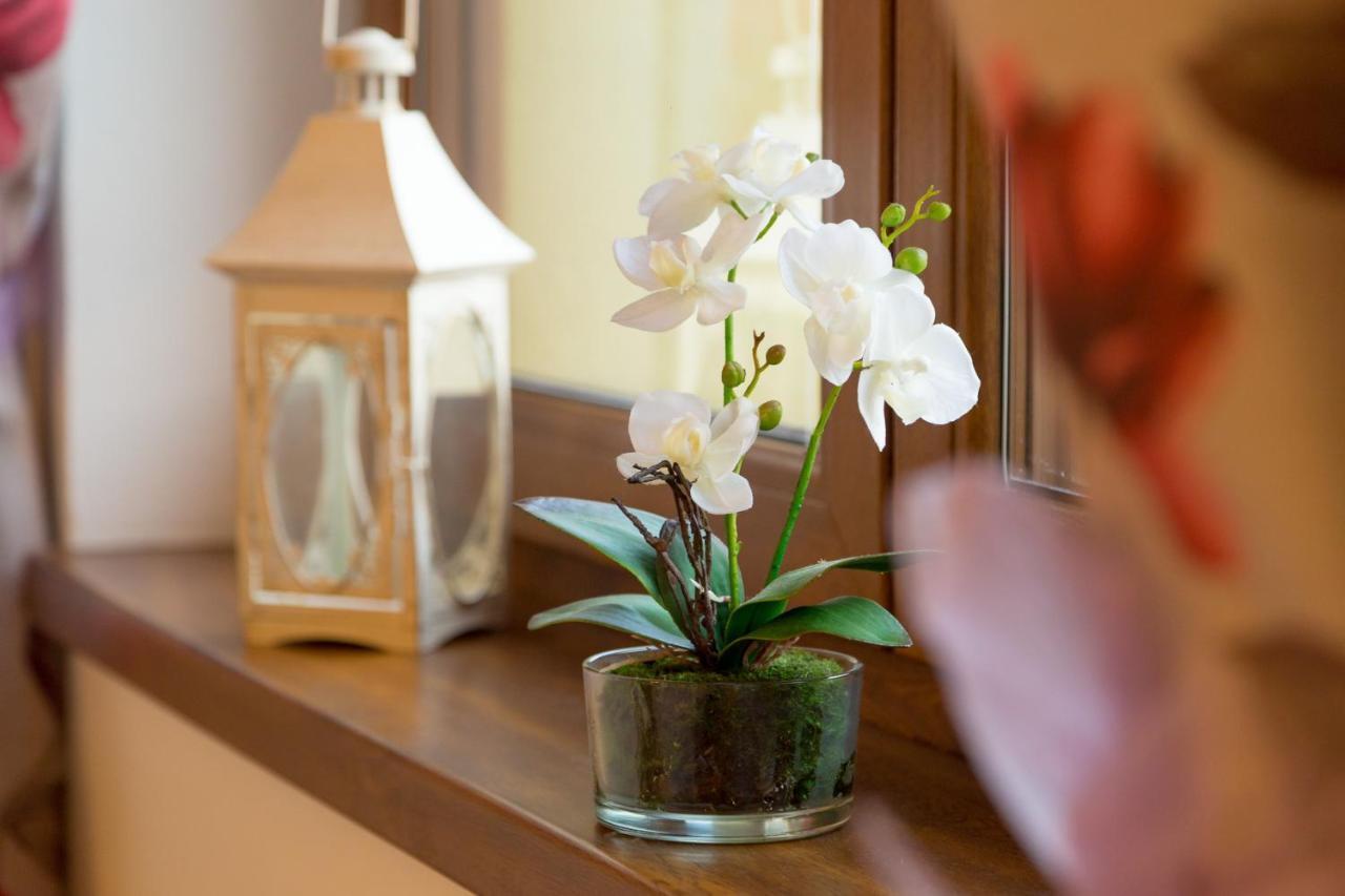 Apartmany Kenka 斯皮什旧村 外观 照片