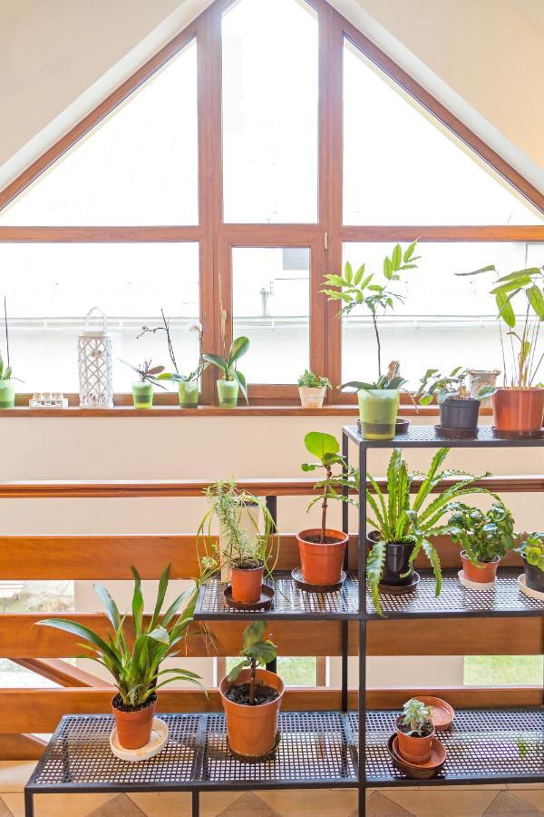 Apartmany Kenka 斯皮什旧村 外观 照片